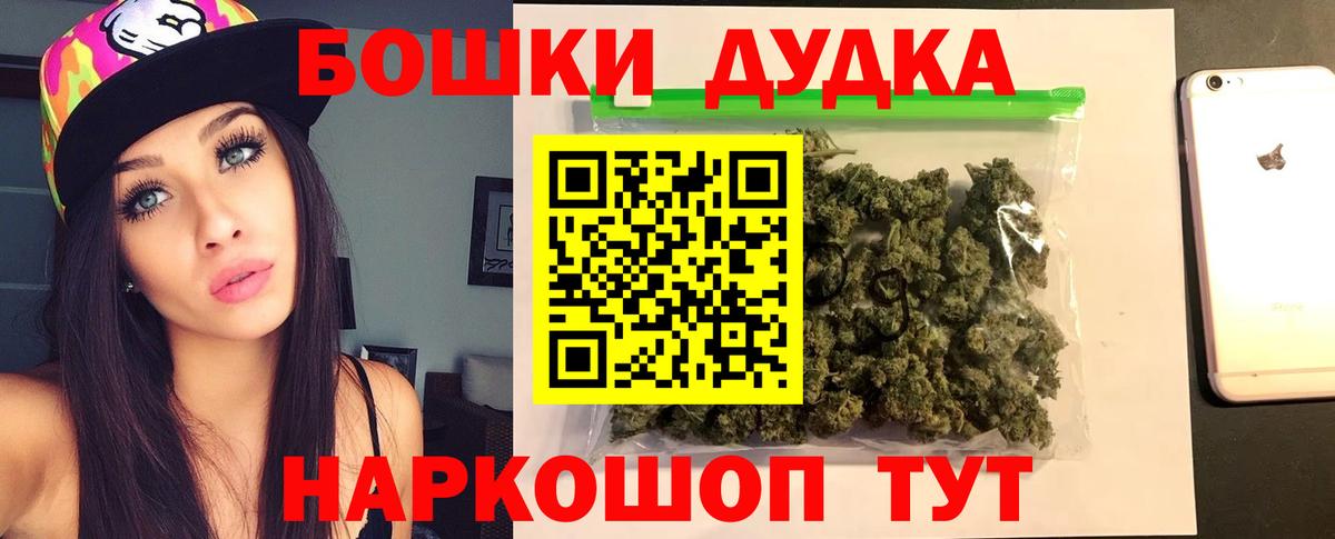 Сунжа  Канабис планчик  Вход с VPN  Бошки марихуана SATIVA & INDICA  Каннабис Amnesia 